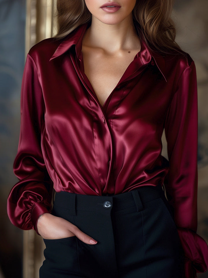 Long Sleeves Slim Fit Blouse Work Everyday Blouse