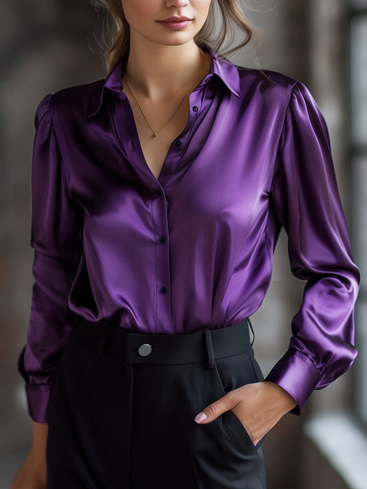 Long Sleeves Slim Fit Blouse Work Everyday Blouse