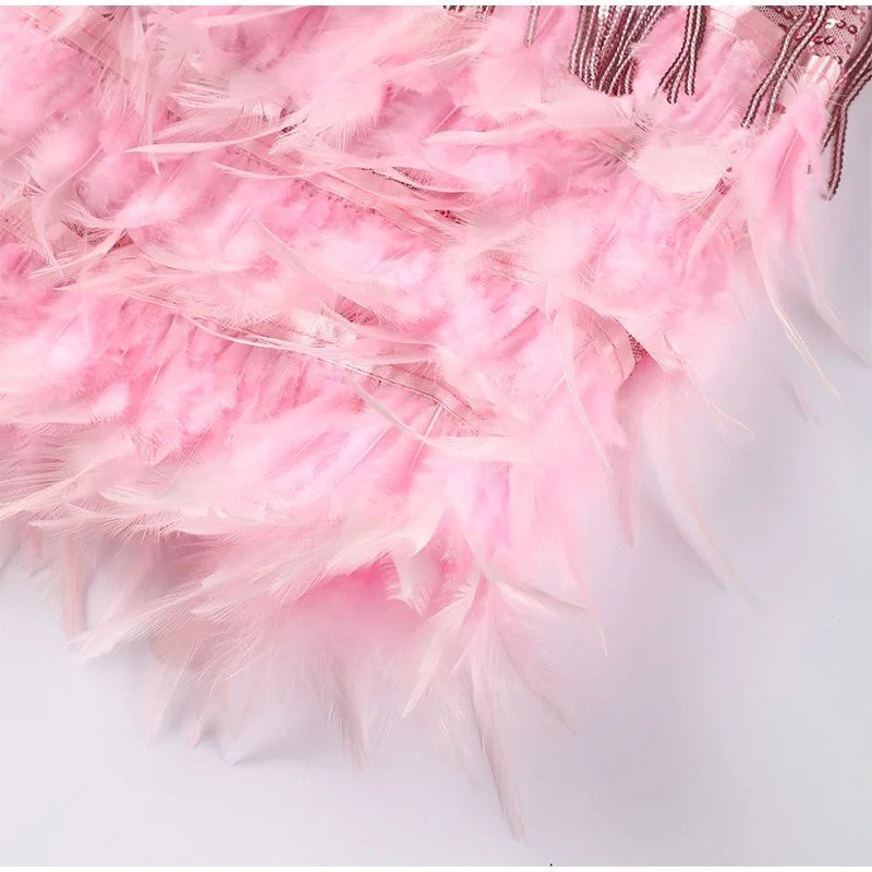 Mini Dress with Feathers in Elegant Style