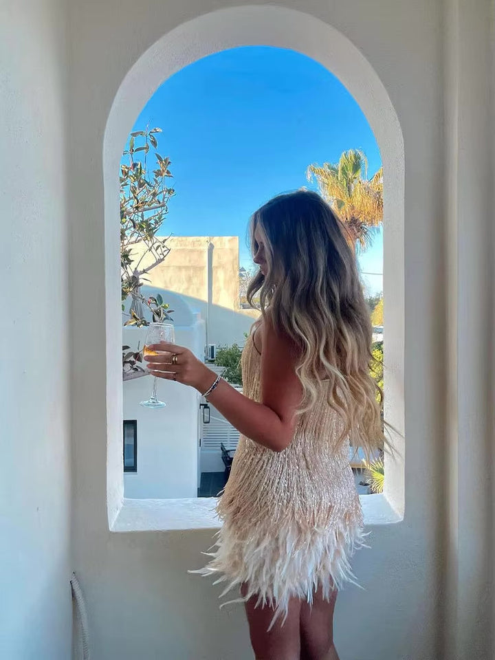 Mini Dress with Feathers in Elegant Style